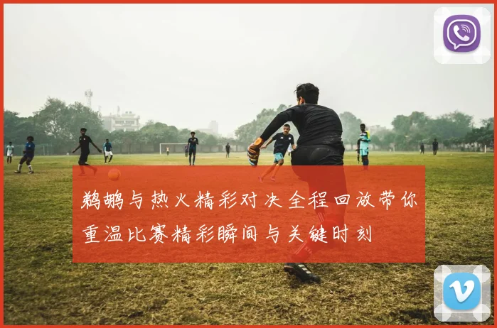 鹈鹕与热火精彩对决全程回放带你重温比赛精彩瞬间与关键时刻